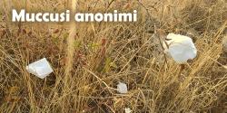 Anteprima - Clicca per ingrandire