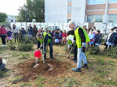 Alberi in Festa a Noha 2017