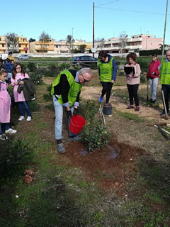 Alberi in Festa a Noha 2017