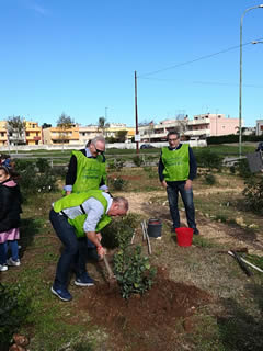 Alberi in Festa a Noha 2017