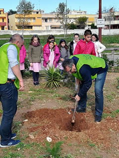 Alberi in Festa a Noha 2017