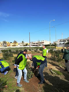 Alberi in Festa a Noha 2017