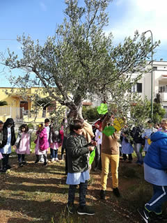 Alberi in Festa a Noha 2017