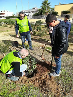 Alberi in Festa a Noha 2017