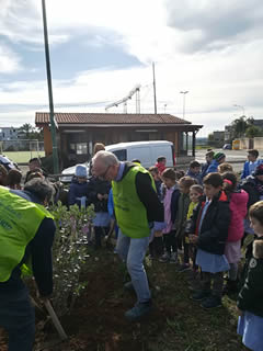 Alberi in Festa a Noha 2017