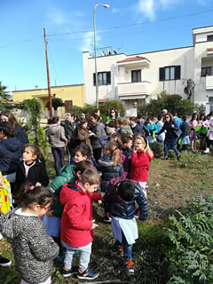 Alberi in Festa a Noha 2017