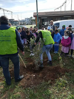 Alberi in Festa a Noha 2017