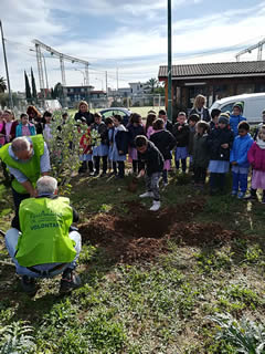 Alberi in Festa a Noha 2017