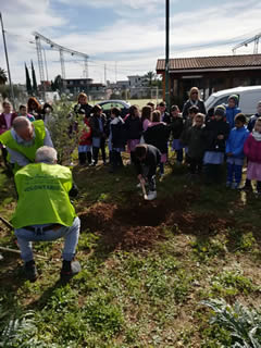 Alberi in Festa a Noha 2017