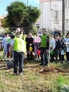 Alberi in Festa a Noha 2017