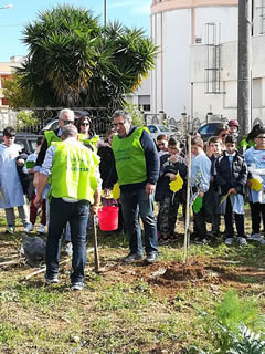 Alberi in Festa a Noha 2017