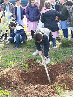 Alberi in Festa a Noha 2017