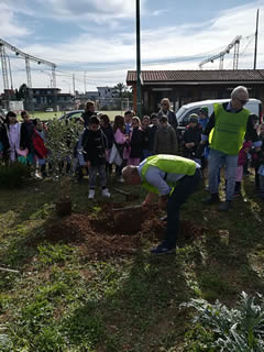 Alberi in Festa a Noha 2017