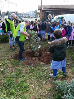 Alberi in Festa a Noha 2017