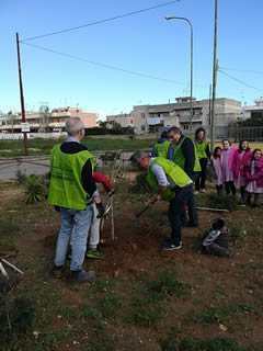 Alberi in Festa a Noha 2017