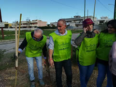 Alberi in Festa a Noha 2017