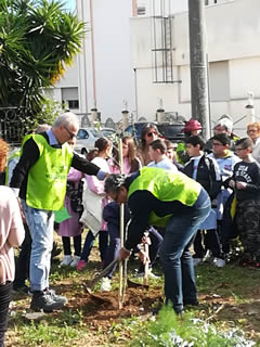 Alberi in Festa a Noha 2017