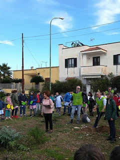 Alberi in Festa a Noha 2017