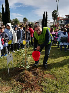 Alberi in Festa a Noha 2017