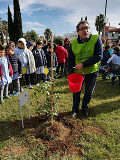 Alberi in Festa a Noha 2017