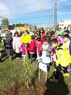 Alberi in Festa a Noha 2017