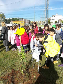 Alberi in Festa a Noha 2017