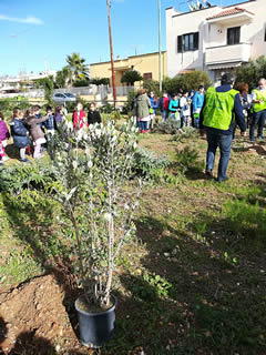 Alberi in Festa a Noha 2017