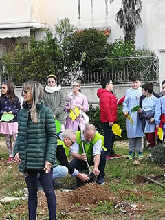 Alberi in Festa a Noha 2017