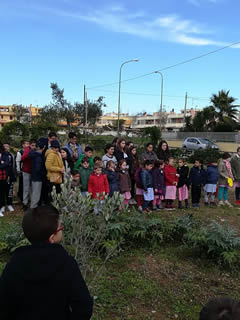 Alberi in Festa a Noha 2017