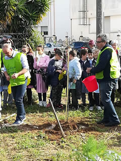 Alberi in Festa a Noha 2017