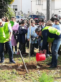 Alberi in Festa a Noha 2017