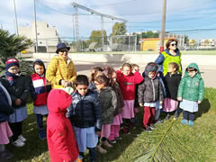 Alberi in Festa a Noha 2017