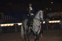 Equestrian