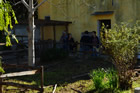Fervono
