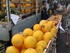 Fiera