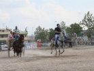 Fiera