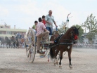 Fiera