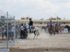 Fiera