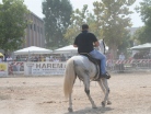 Fiera