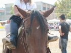Fiera
