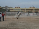 Fiera