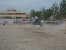 Fiera