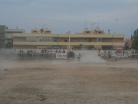 Fiera