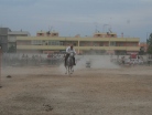 Fiera