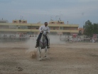 Fiera