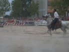 Fiera