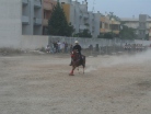 Fiera