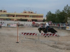 Fiera