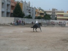 Fiera