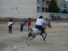 Fiera